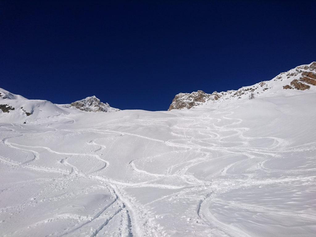 Le nostre sbisciule nella parte superiore della gita. Neve molto buona!!!