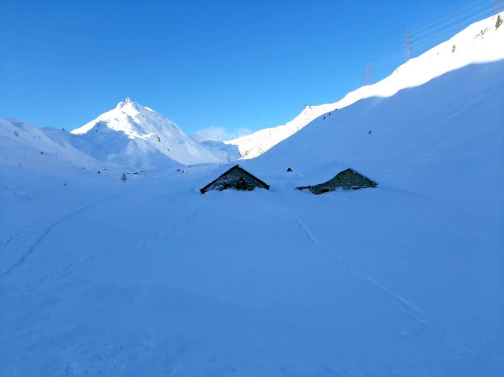 Giunti alle baite "Cantina di Cruina" decidiamo di girare i tacchi e tornare all'inizio. Abbiamo macinato 3 km e soli 300mt di dislivello. Uno spreco per una giornata così!