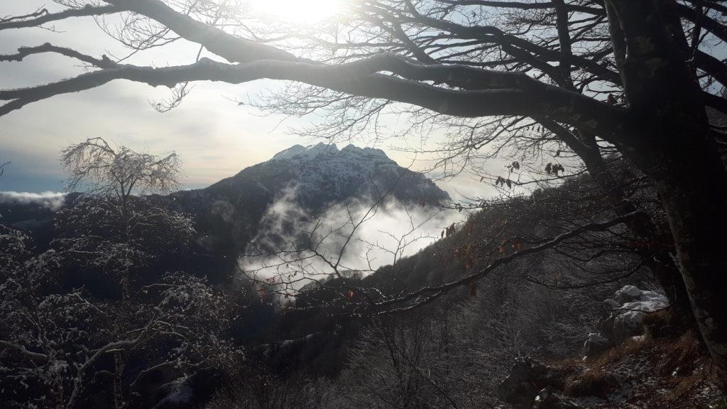 torna a farsi vedere il Resegone in un punto di bosco rado