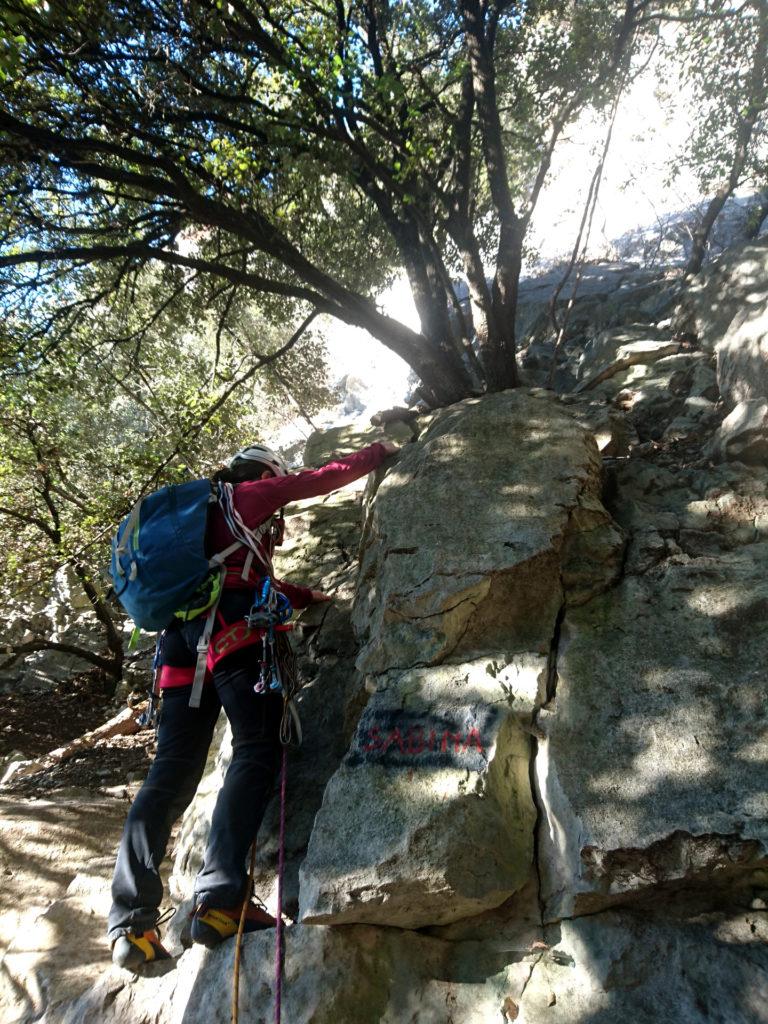 il primo tiro passa sulle roccette accanto alla scritta, stando a sinistra dell'albero