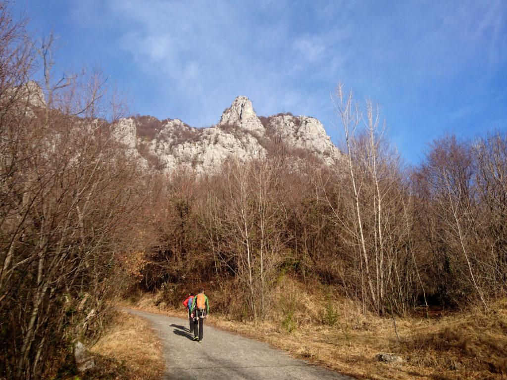 in questo inverno che sembra autunno, verso il pizzo boga che fa capolino tra gli alberi