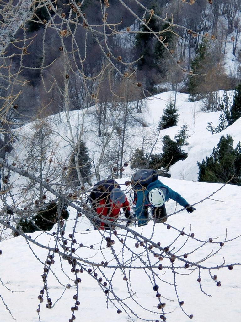 ora siamo più o meno sulla cresta nord