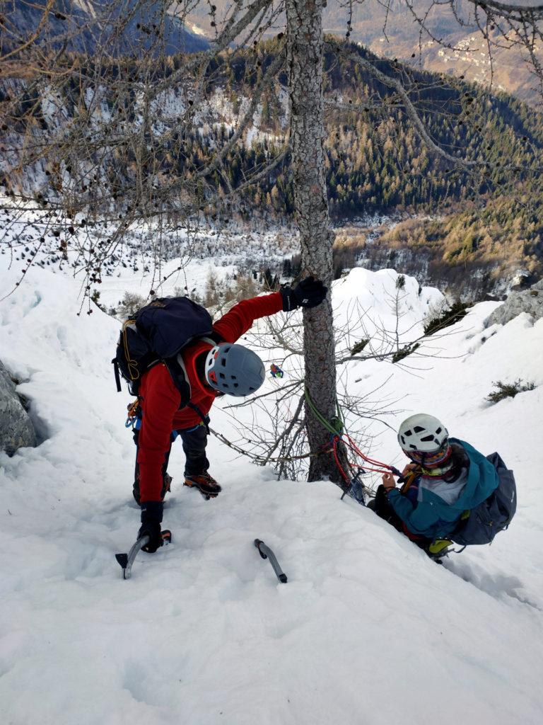 albero dopo albero attrezziamo le calate sui nostri salvifici cordini d&#039;abbandono