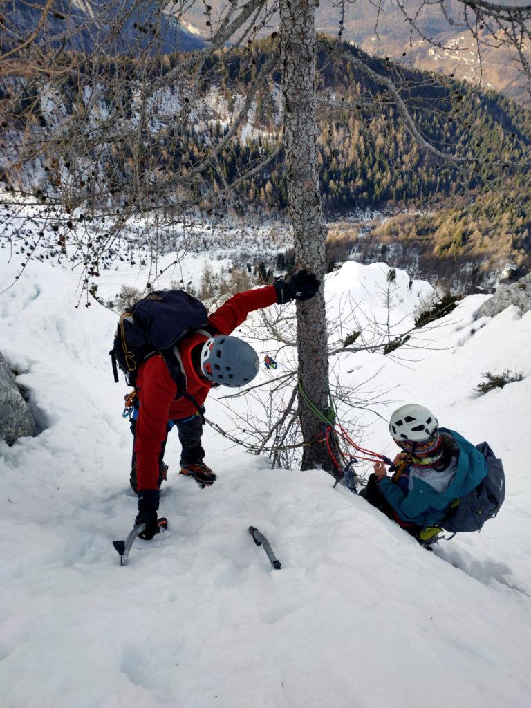 albero dopo albero attrezziamo le calate sui nostri salvifici cordini d'abbandono