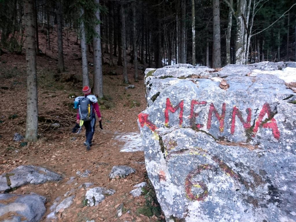 il sentiero prosegue nel bosco, sempre abbastanza rintracciabile