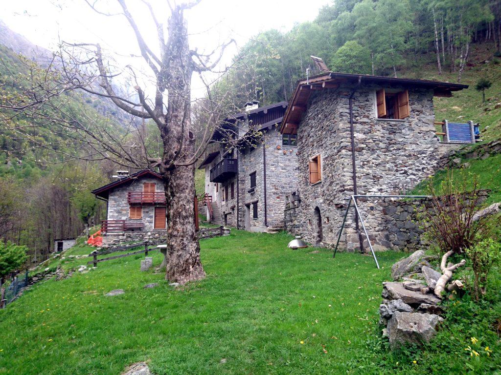 Dopo lungo peregrinare nel bosco raggiungiamo la località Moledana con le sue belle baite ristrutturate