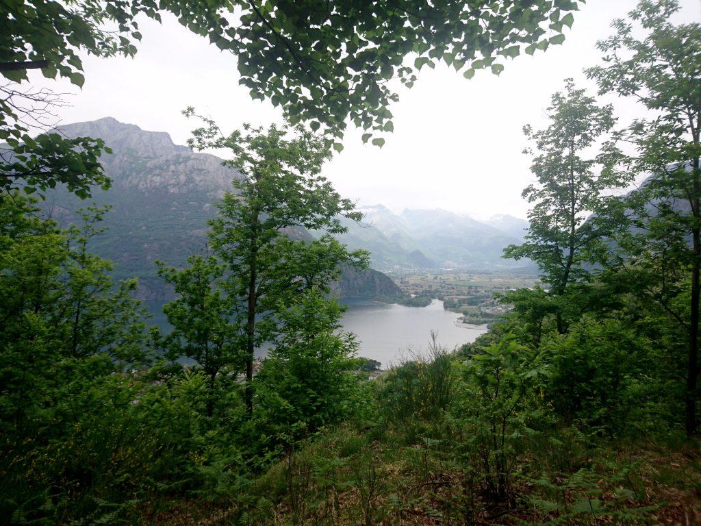 Innalzandosi nel bosco ogni tanto si apre qualche scorcio verso il lago di Novate Mezzola