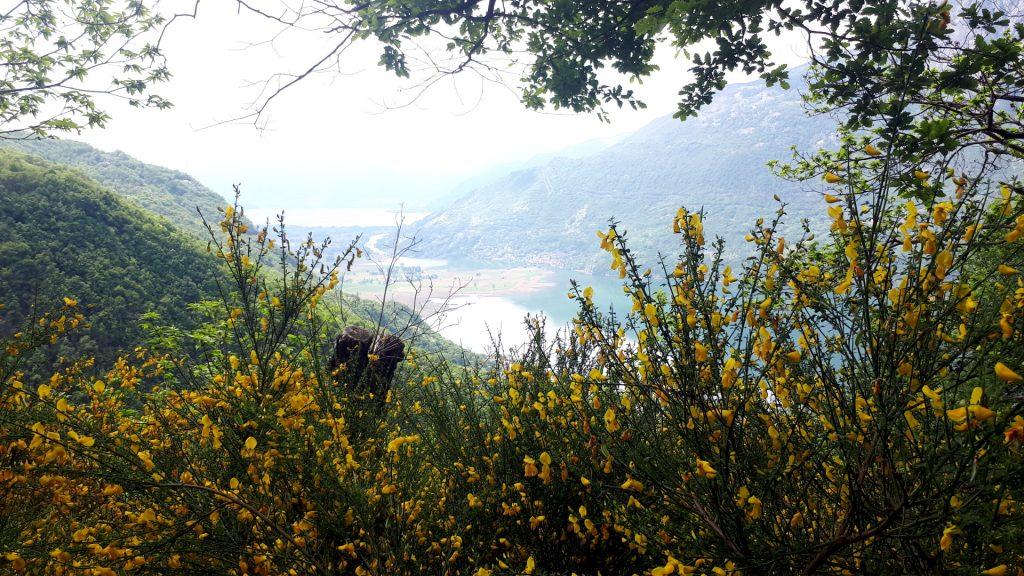 il lago di Novate Mezzola lungo il nostro percorso di discesa