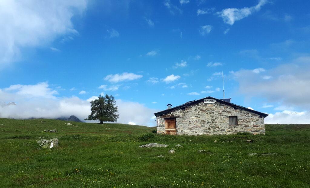il bivacco dell&#039;Alpe Granda e il larice solitario