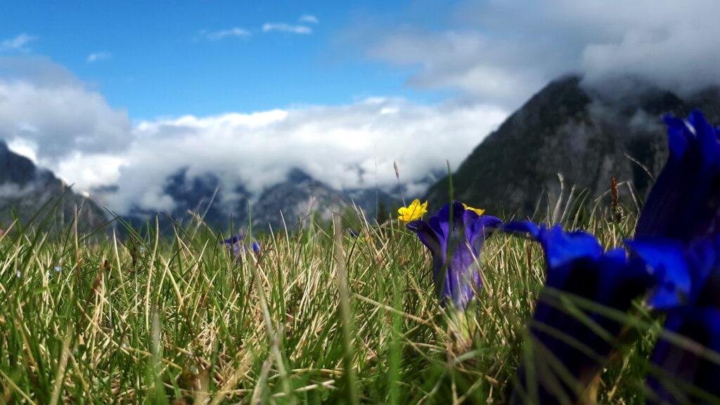 Altro gioco di soft focus con la primavera che prende vita