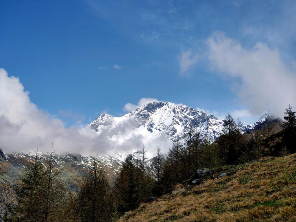 Il versante sud-ovest del Disgrazia