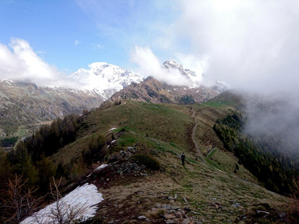 lungo i prati dell'Alpe Scermendone, in direzione di San Quirico