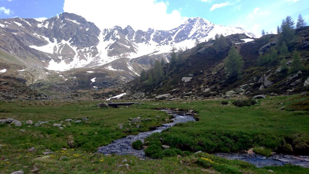 Salutiamo la bellissima Alpe Angeloga e torniamo verso valle