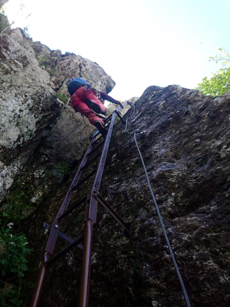 Questa scala è spesso bagnata perché risale all'interno di una gola