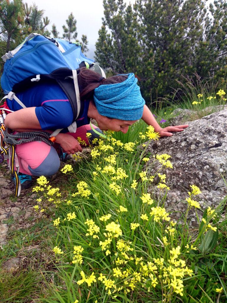 Erica gioca a fare la mucca con questi fiori ;)