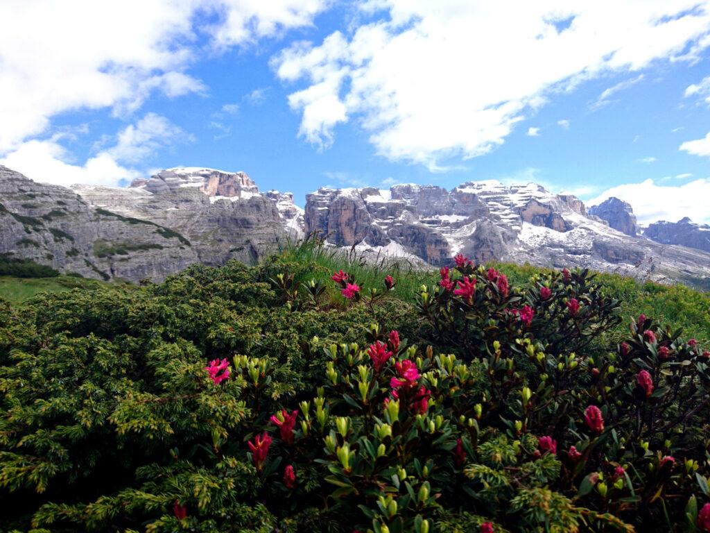 Vista del Brenta dal sentiero che dal Graffer scende verso Vallesinella