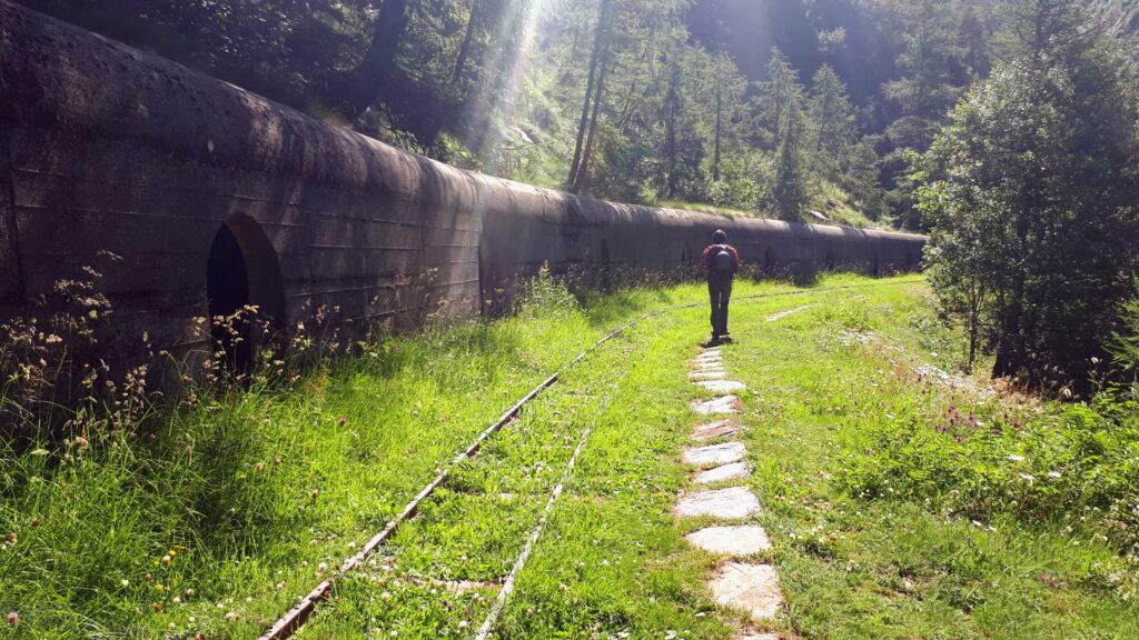 Sul bordo del lago ci sono i resti degli impianti dell'Enel con tanto di ferrovia ormai mangiata dalla vegetazione