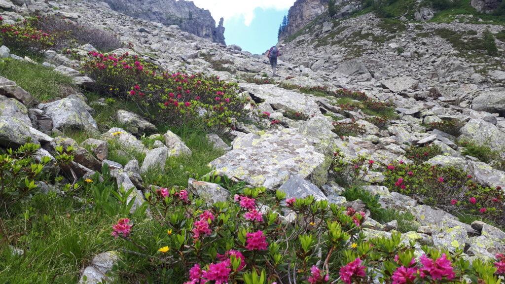 Qui stiamo vagando per sfasciumi alla ricerca della via Calegari - Rho....peccato che siamo completamente dalla parte sbagliata!