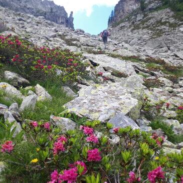 Anello del Pizzo del Becco – Vallone di Sardegnana e lago Colombo