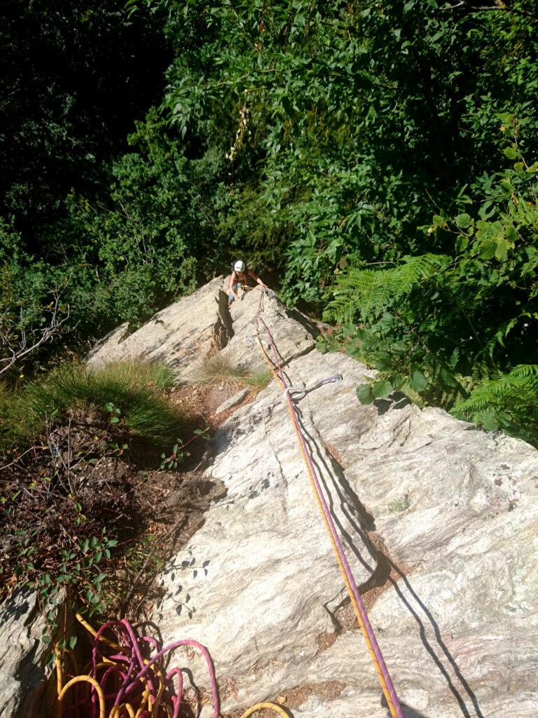 Erica sul primo tiro, appena uscita dal bosco