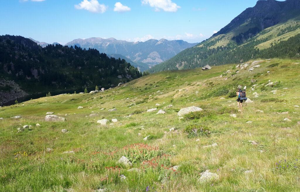 si cammina salendo dolci pendii, pascoli erbosi e fiorellosi, in un paesaggio ameno e delicato