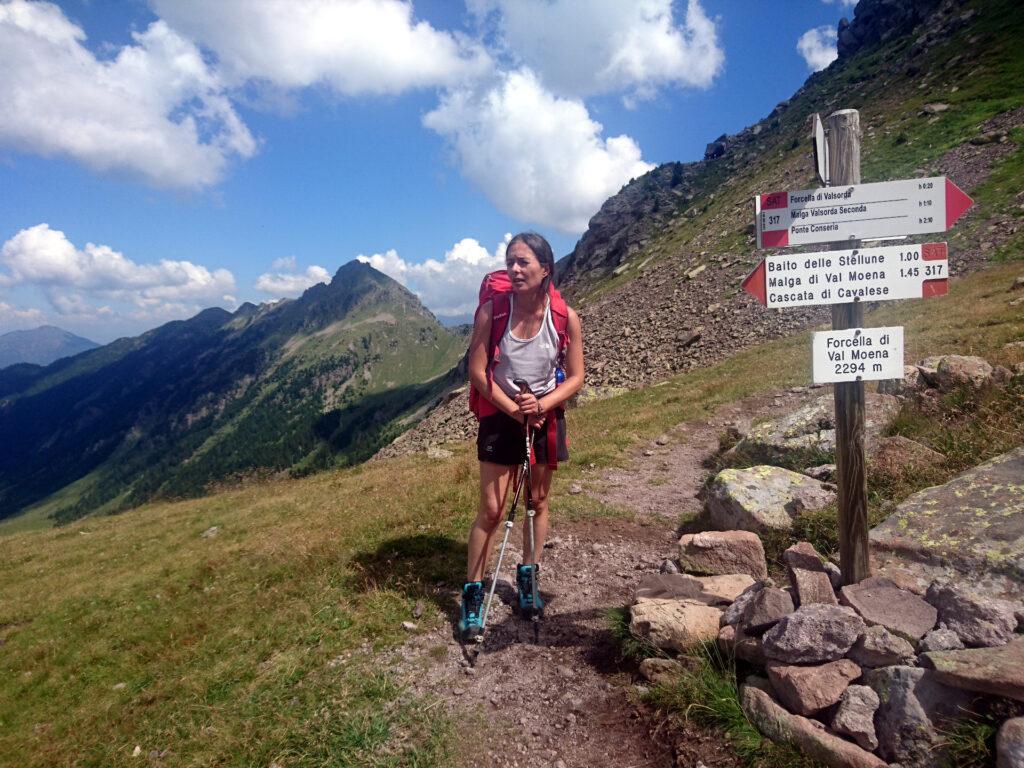 sarebbe bello poter mangiare un pezzo di Puzzone di Moena, ma a 2.294 m è difficile che qualcuno ce lo venda!