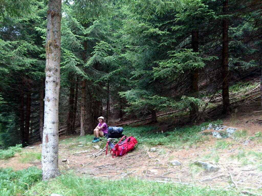 Saltiamo in avanti diverse ore. Qui siamo scesi fino a 1700 mt di quota in un bosco con molti alberi abbattuti e ora ci tocca risalire fino a 2100 e rotti. L'umore prima della risalita non è dei migliori :P