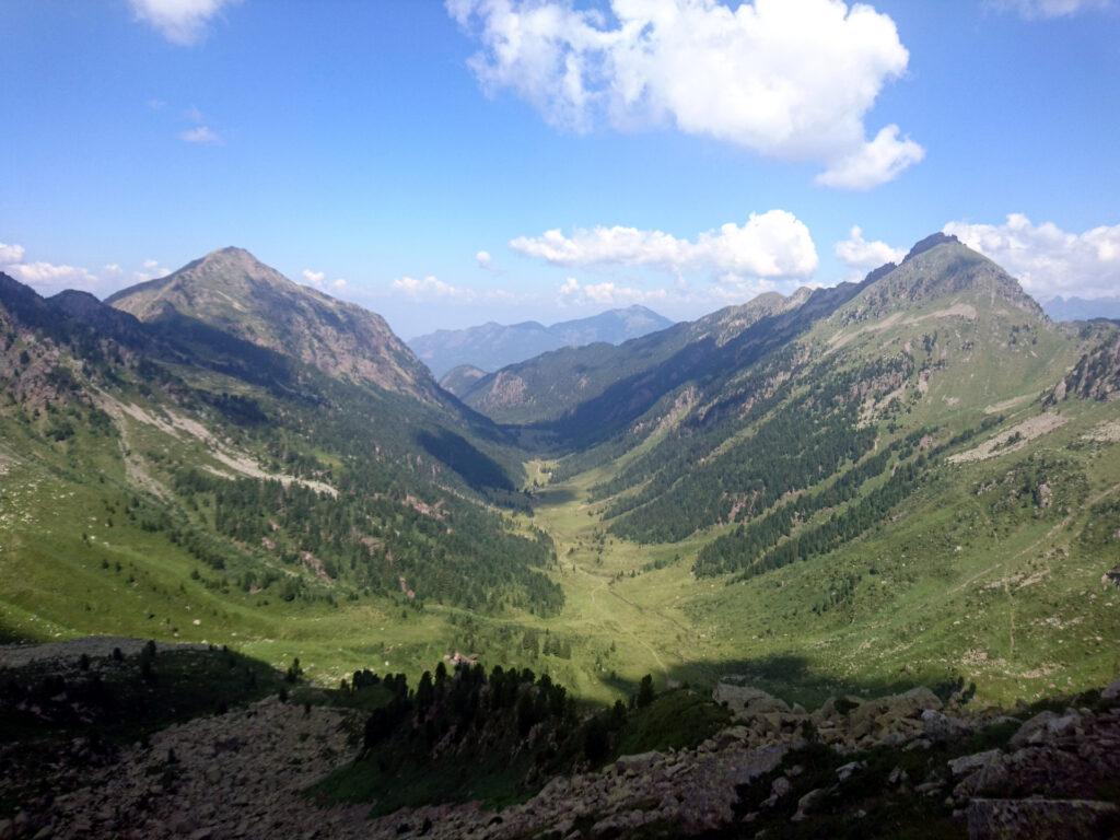 sotto di noi apprezziamo vallette bellissime, solcate da fiumiciattoli e con mucche che da qui sembrano puntini minuscoli (ma si fanno sentire) - Val Moena