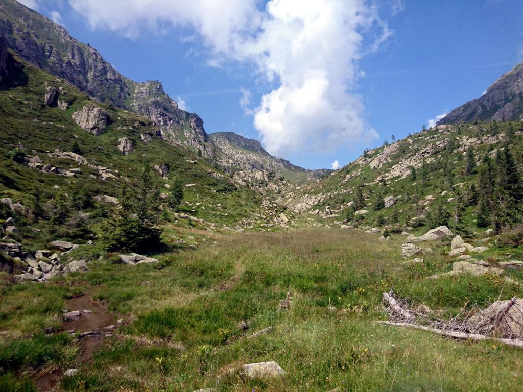 Riguadagnata la quota atterriamo in questa bellissima piana traversata da un torrente che a tratti forma una palude