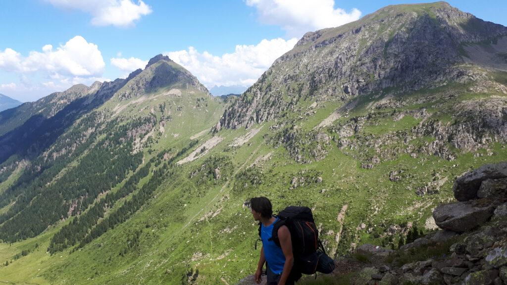 tra una forcella e l'altra: presto abbandoneremo questo verde per trovarci in mezzo alle pietraie