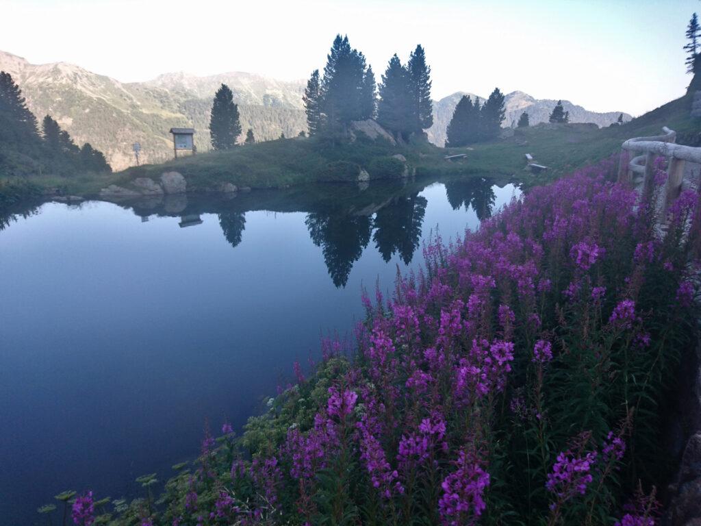 il laghetto di Passo Manghen già ci sembra bellissimo: volevamo fare scorta d'acqua ma un simpatico fiammasco ci ha fatto notare che l'avremmo trovata più avanti...