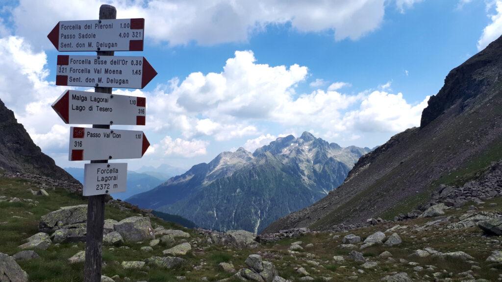 Ecco... speravamo meno di un'ora per la Forcella dei Pieroni: ma qui le distanze sono queste, non è una passeggiata: sullo sfondo Cima d'Asta