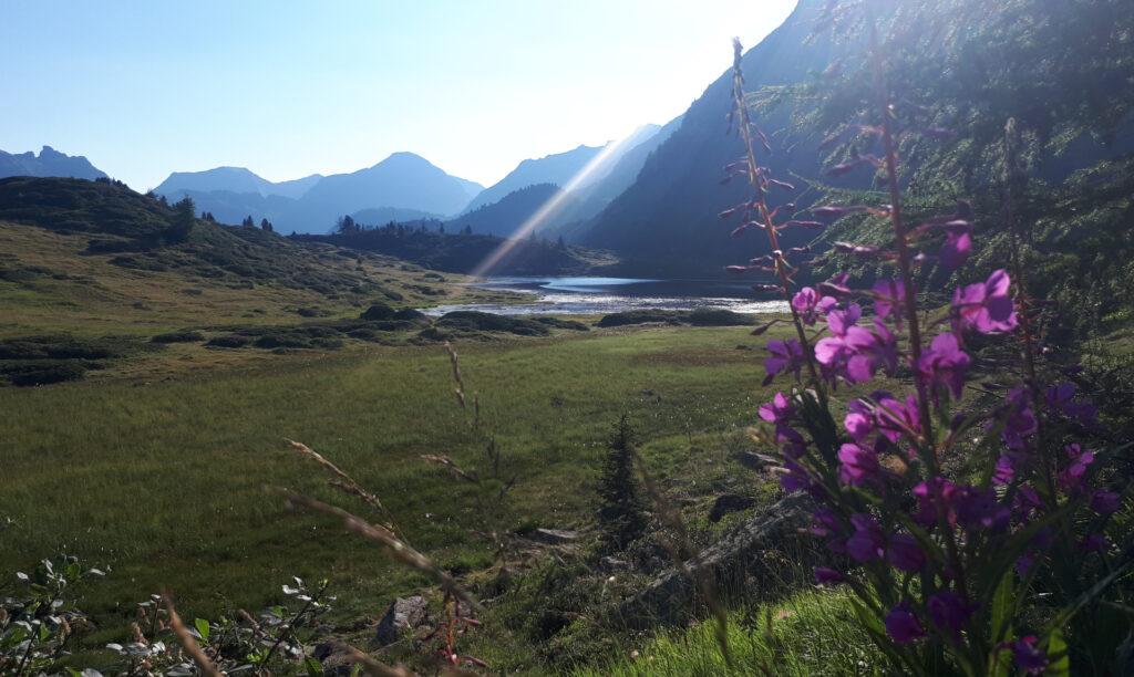 la lace del primo mattino sul Lago delle Buse