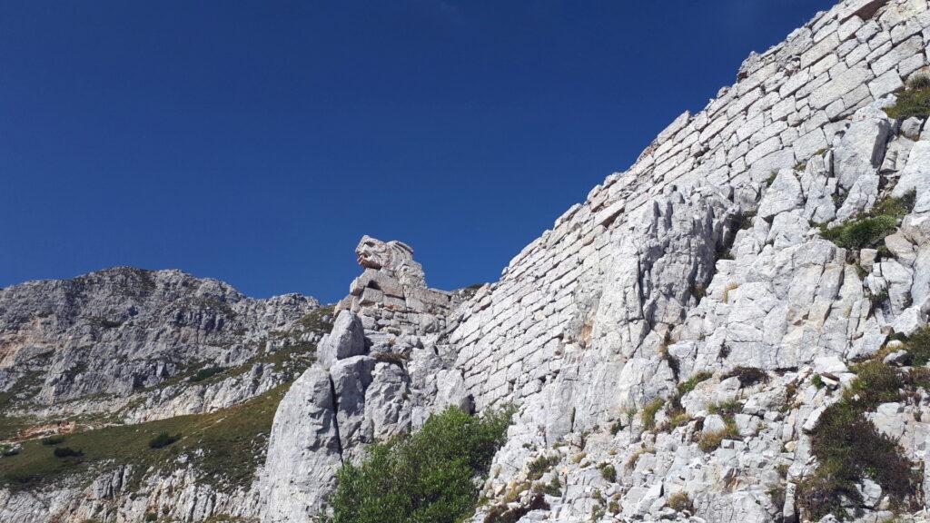 I curiosi resti di un grifone lungo la salita verso il rifugio Fraccaroli