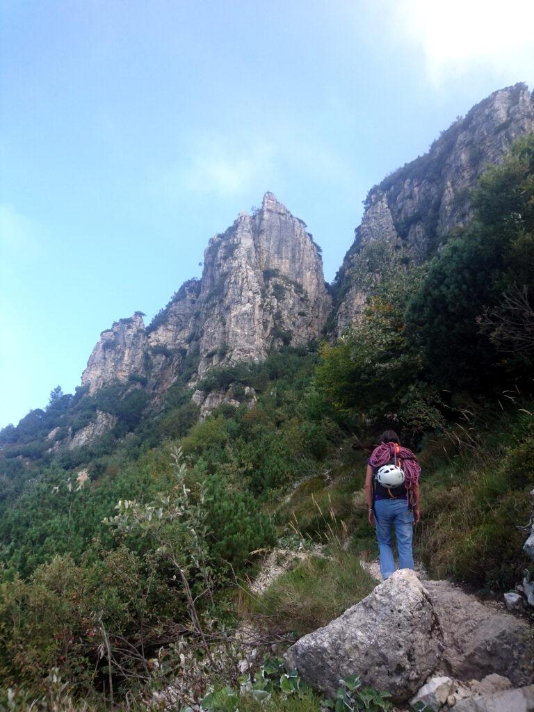 il sentiero che conduce alla Forcella di Nord Ovest, passando proprio accanto alla Torre Bovental