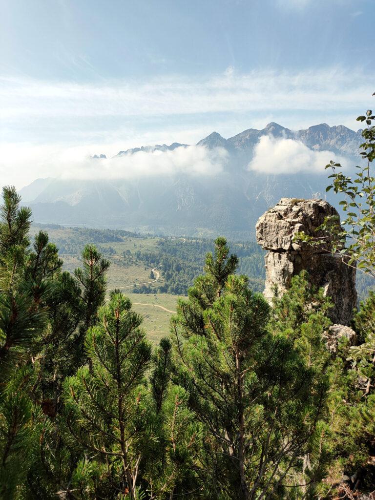 panorama davvero ameno verso i pascoli, più a valle