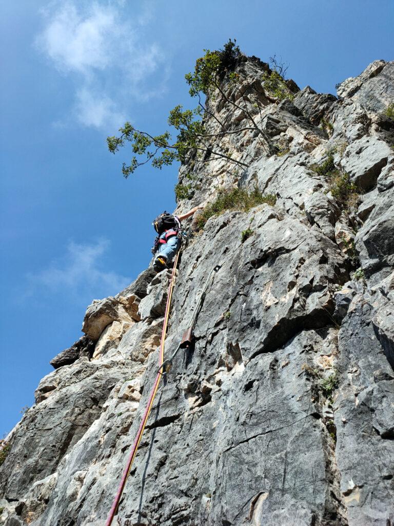 Erica sul primo tiro