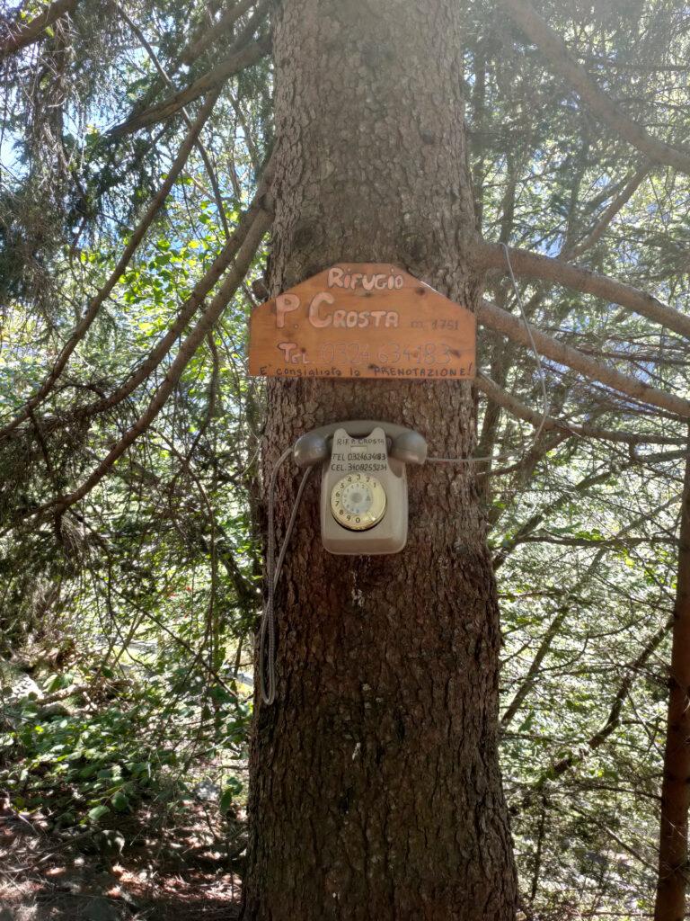telefono a disco all&#039;inizio del sentiero: un pezzo d&#039;antiquariato!