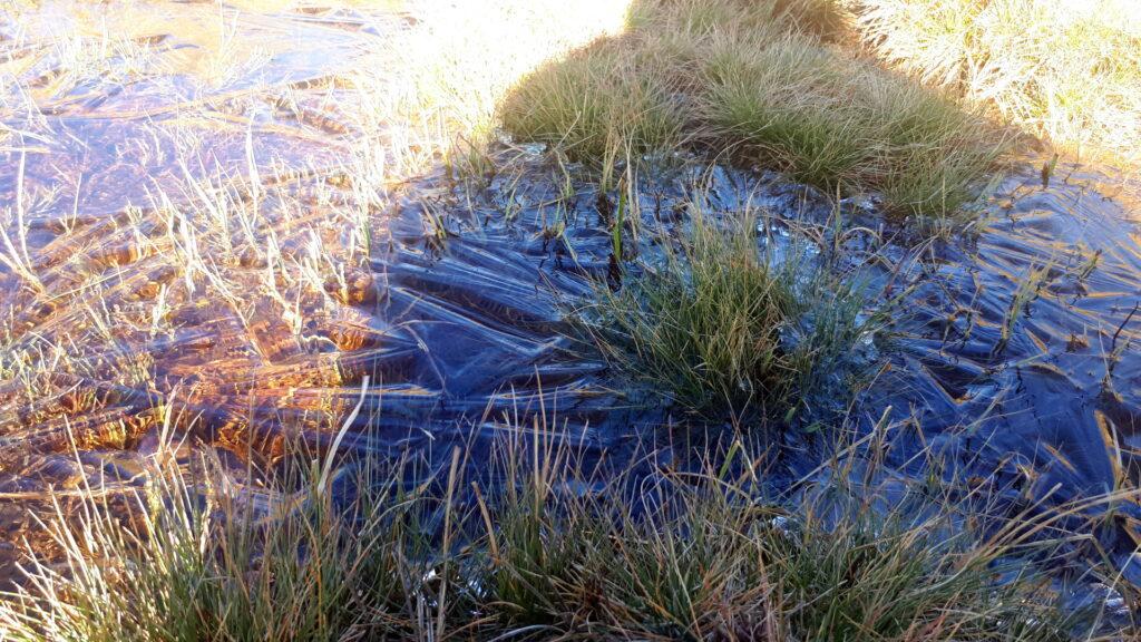 le temperature sono scese parecchio: l'acqua inizia a ghiacciare