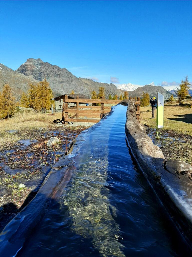 l'abbeveratorio del Barbustel: non è fredda per niente!