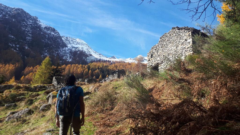 Corte del Dosso: un nucleo - piuttosto grande! - di baite ormai ridotte a ruderi