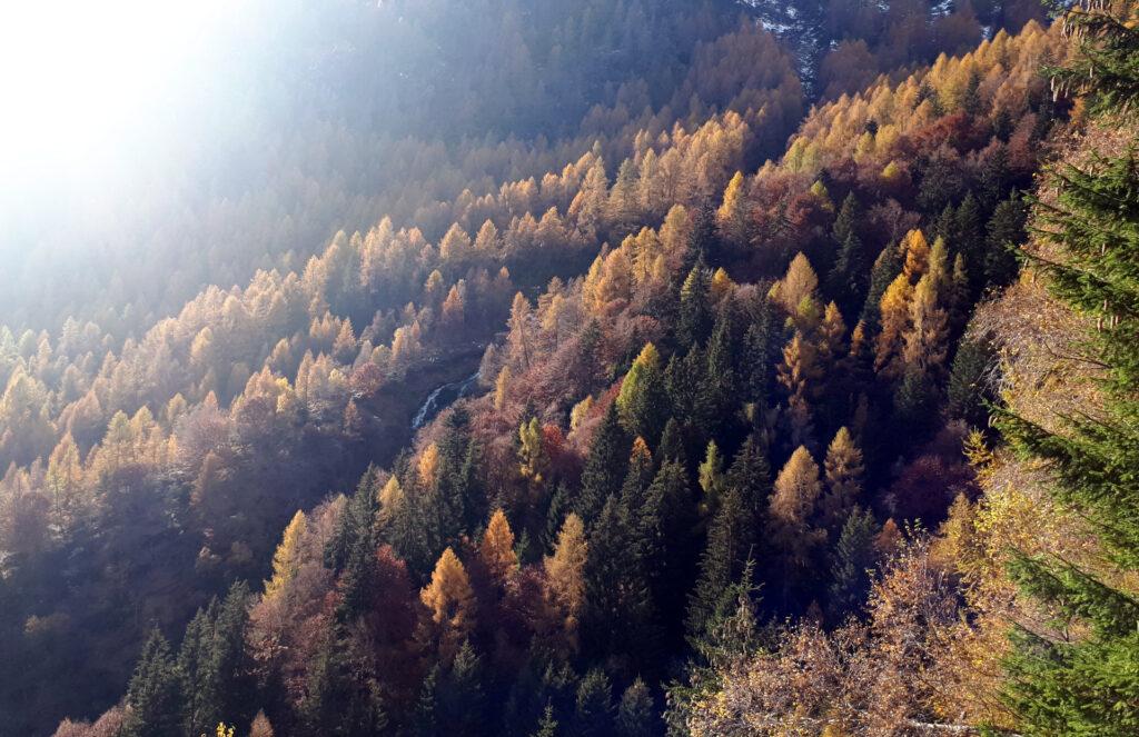 beh... l'autunno è l'ora magica delle stagioni!