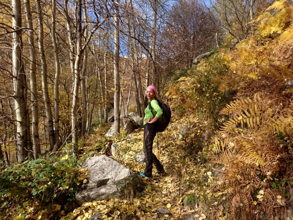 la bellezza del bosco d'autunno