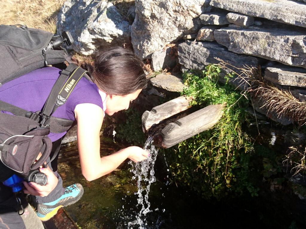 da queste parti l'acqua non manca