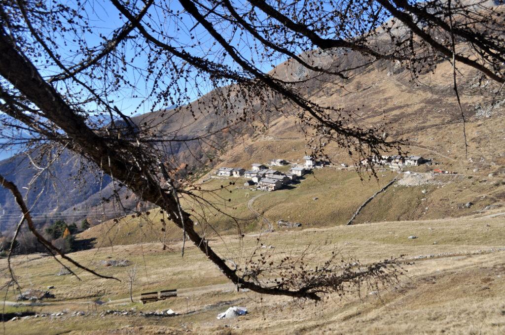 sempre l'Alpe di Mezzo, incorniciata dai rami spogliati dall'inverno