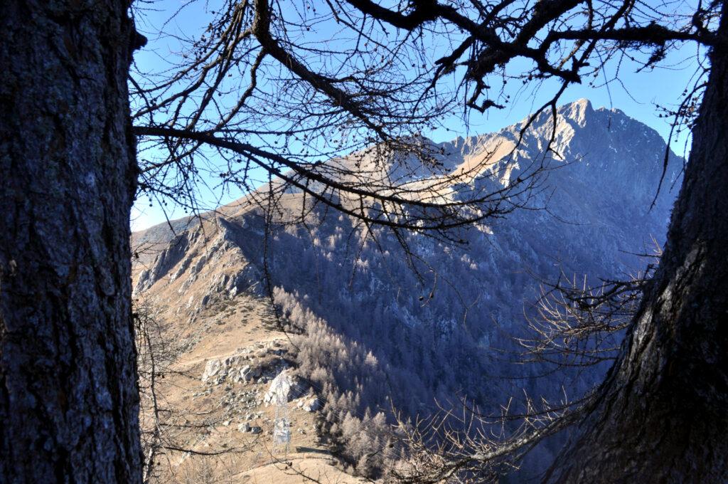 il Sasso Canale, che dev'essere un'altra escursione carina