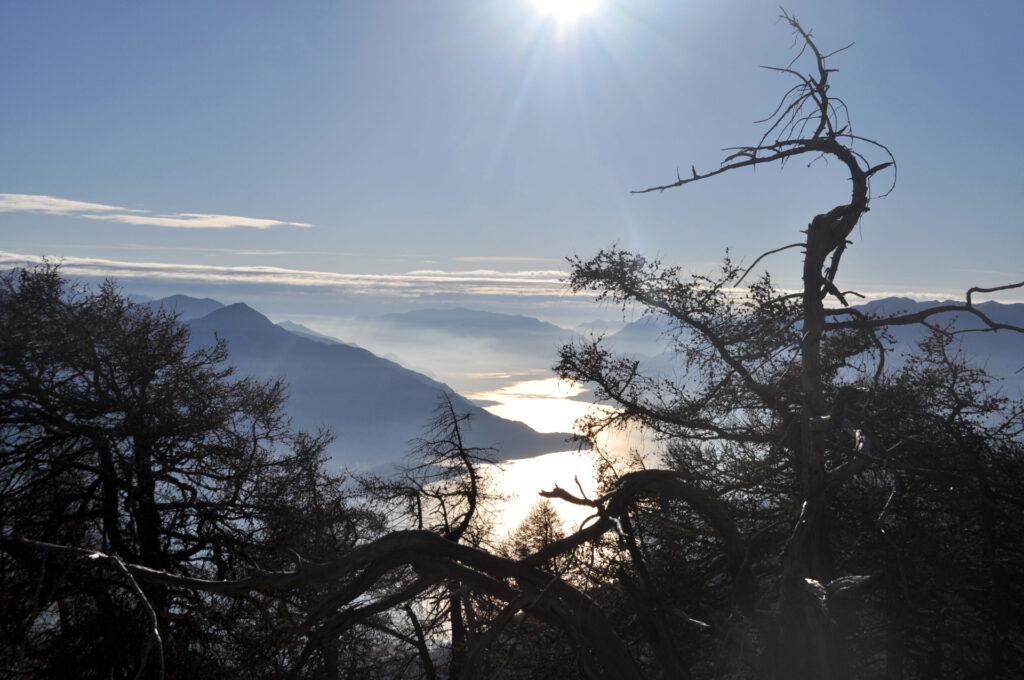 cieli invernali, nebbie e contrasti