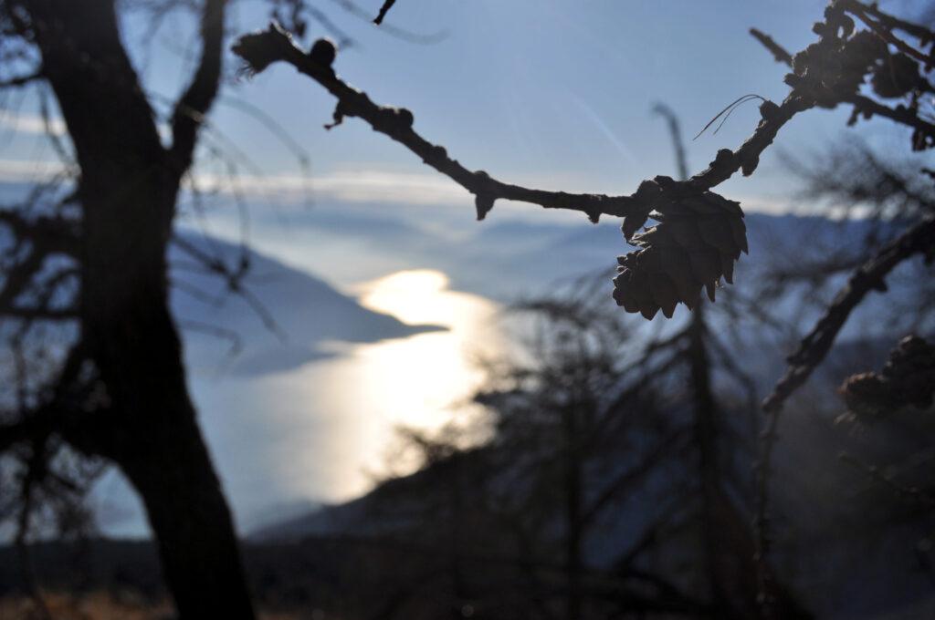 ciò che resta dell&#039;estate