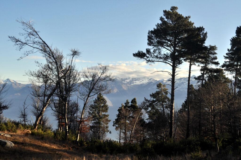 dall&#039;Alpe Godone: anche qui, una vista niente male!