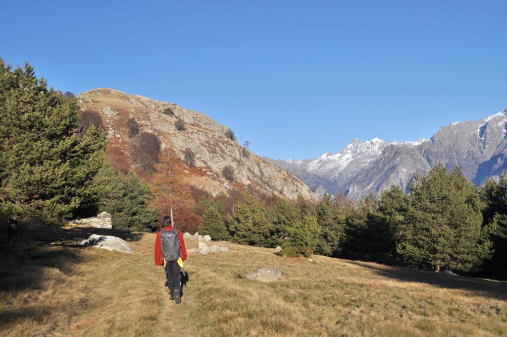 la radura dell'Alpe Godone